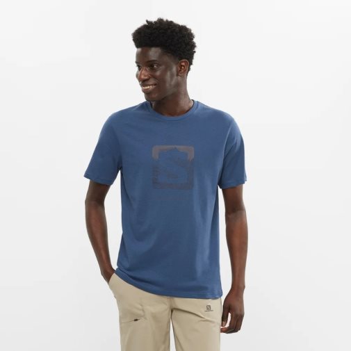 Blue Salomon Outlife Logo Short Sleeve Men's T-Shirts | PH 69435P